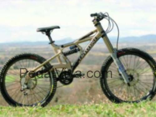 Cannondale Judge ficha tecnica